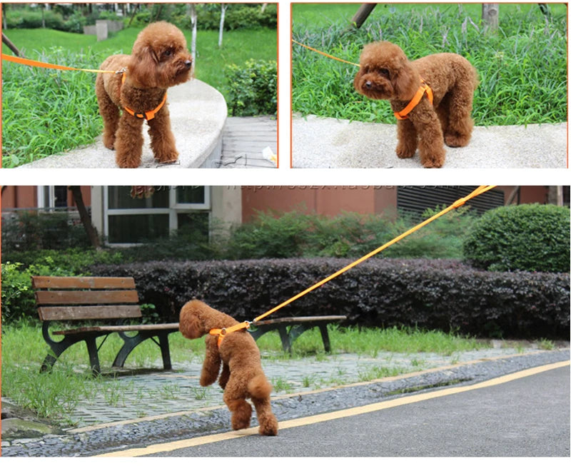 Arnés de seguridad de nailon para mascotas, accesorios para perros, arnés con luz intermitente, arnés LED para perros, correa, cinturón, collar LED para perros, chaleco, suministros para mascotas