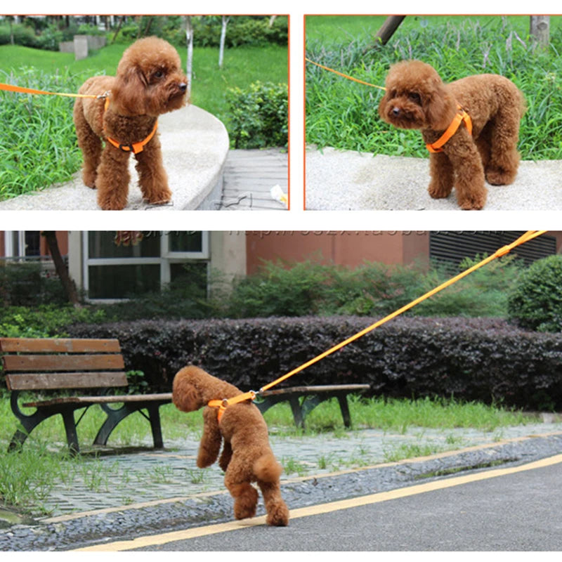 Arnés de seguridad de nailon para mascotas, accesorios para perros, arnés con luz intermitente, arnés LED para perros, correa, cinturón, collar LED para perros, chaleco, suministros para mascotas