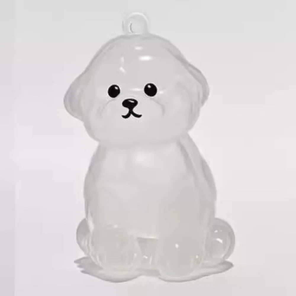Nueva caja de almacenamiento de pelo de gato transparente, decoración de pelo de perro y gato, bolsa de cápsula, llavero, colgante, conmemoración de mascotas
