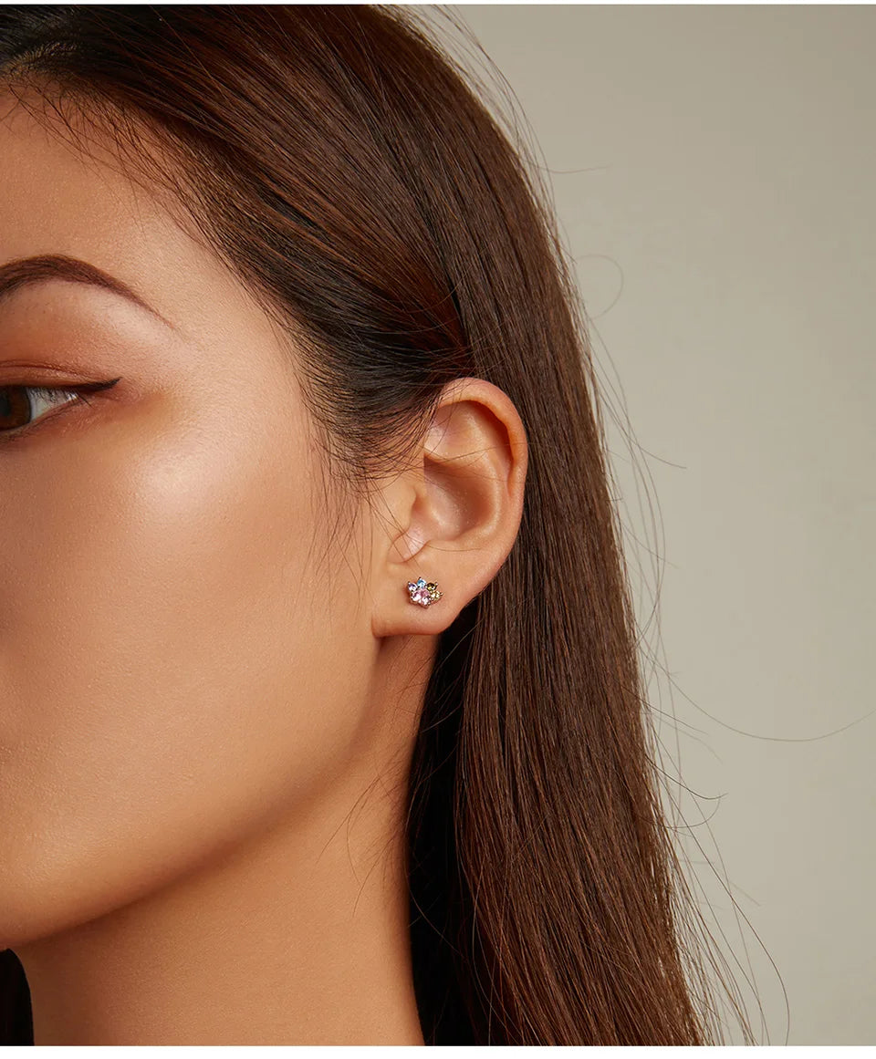 WOSTU-pendientes de plata de ley 925 con diseño de animales y patas bonitas de arcoíris para mujer, aretes con forma de corazón, flor ovalada, circonita, cangrejo, regalo de joyería