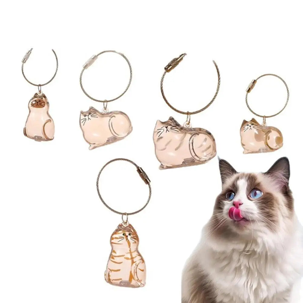 Nueva caja de almacenamiento de pelo de gato transparente, decoración de pelo de perro y gato, bolsa de cápsula, llavero, colgante, conmemoración de mascotas