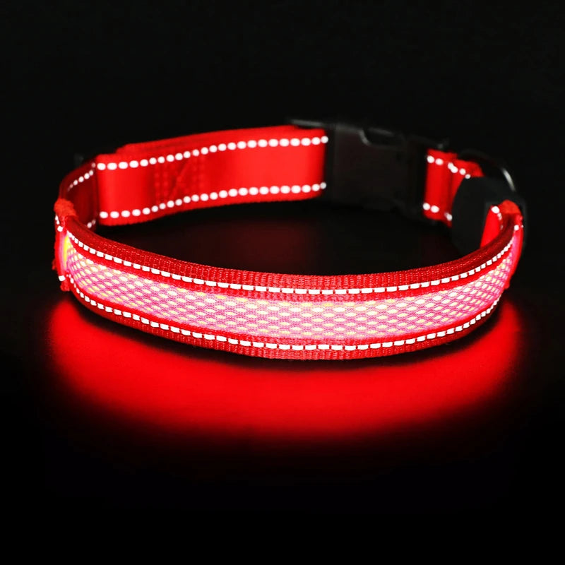 Benepaw-Collar de perro LED recargable por USB, cómodo, reflectante, brillante, brillante, para perros pequeños, medianos y grandes