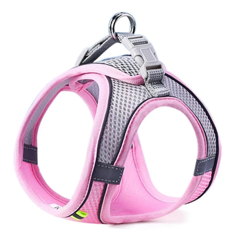 Arnés para Perros y Gatos, Conjunto de Arnés y Correa para el Pecho, Reflectante, Transpirable y Ajustable, para Perros Pequeños y Medianos, para Paseos al Aire Libre