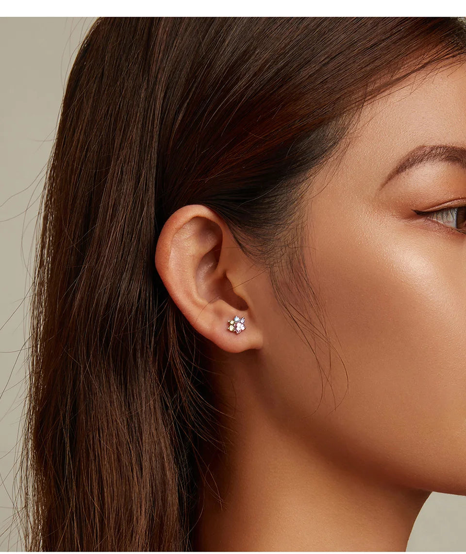 WOSTU-pendientes de plata de ley 925 con diseño de animales y patas bonitas de arcoíris para mujer, aretes con forma de corazón, flor ovalada, circonita, cangrejo, regalo de joyería