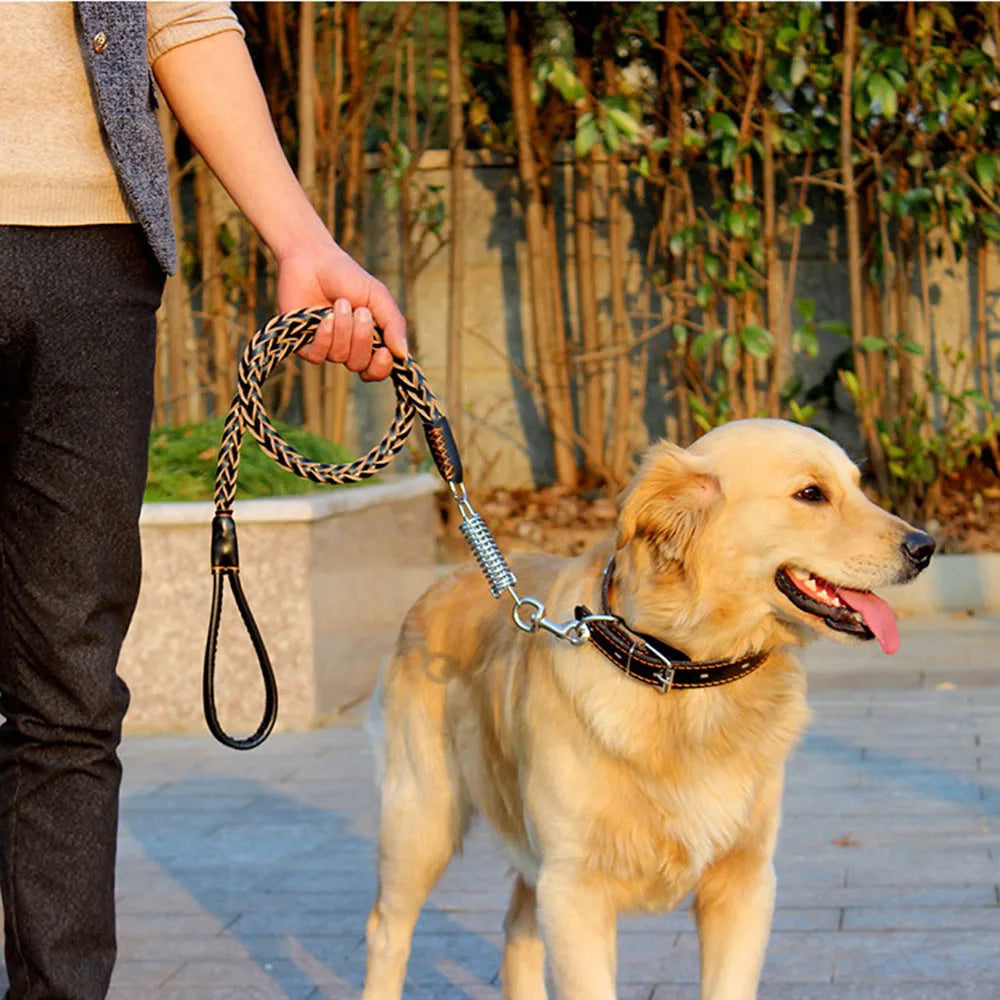 Correa de cuero Real para perros grandes, correa de entrenamiento trenzada de cuero, resistente y duradera, sin amortiguador, para perros.