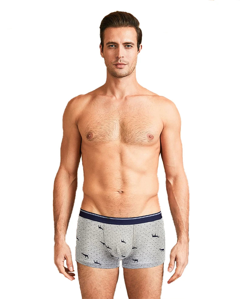 Calzoncillos de algodón para hombre, ropa interior Sexy, transpirable, de marca, 4 piezas