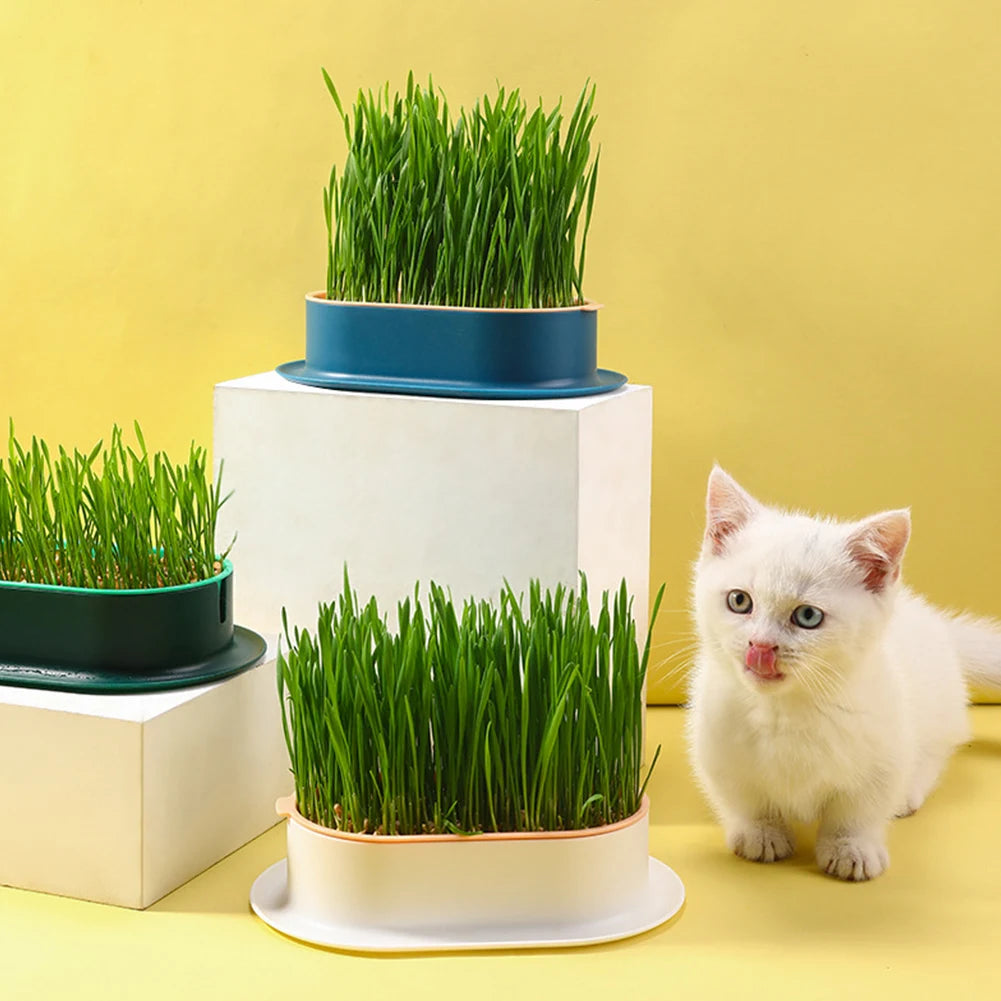 Caja de plantación para vivero de plantas, gatos, hierba, platos, invernadero, caja de cultivo, hidropónico Rectangular para jardín, recipiente para plantar, macetas