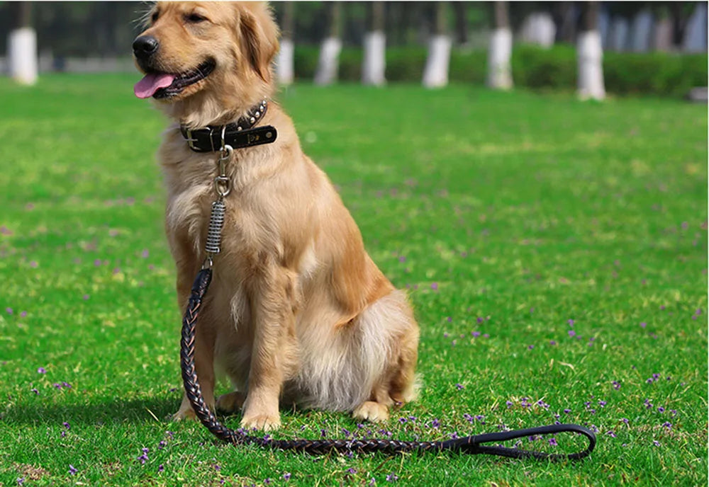 Correa de cuero Real para perros grandes, correa de entrenamiento trenzada de cuero, resistente y duradera, sin amortiguador, para perros.