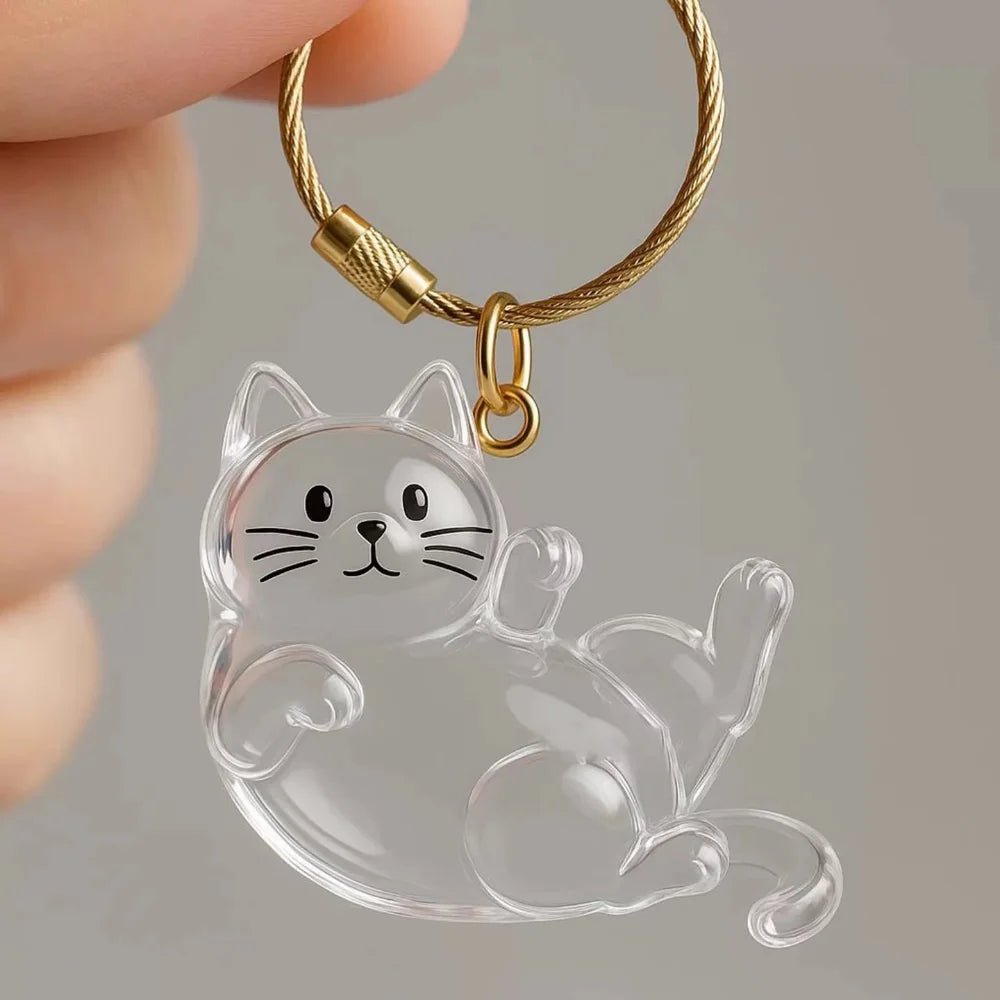 Nueva caja de almacenamiento de pelo de gato transparente, decoración de pelo de perro y gato, bolsa de cápsula, llavero, colgante, conmemoración de mascotas