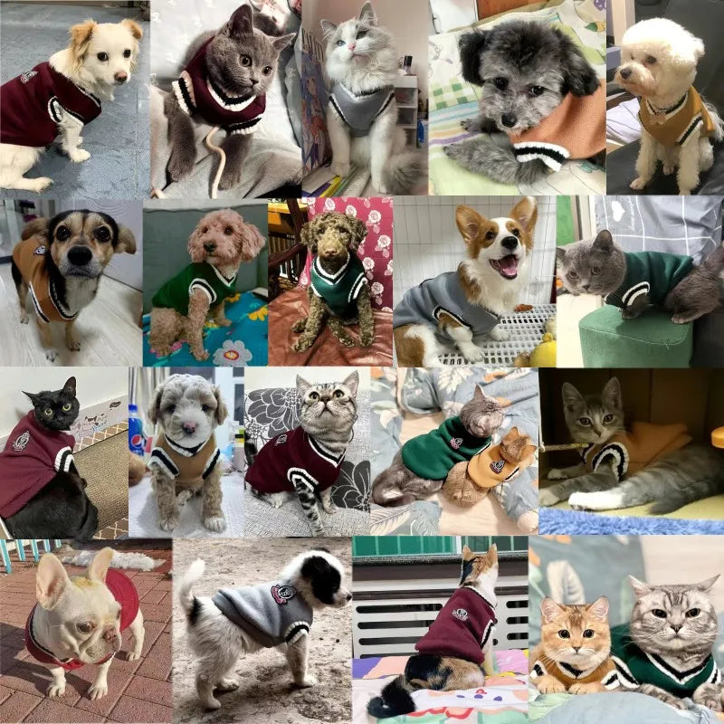 Suéter de moda para perros, ropa cálida de invierno para perros pequeños y medianos, suéter para gatos de estilo universitario, jersey para cachorros, ropa para perros Chihuahua