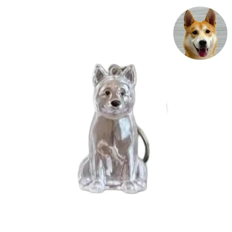 Cápsula de recuerdo de pelo de perro transparente, bolsa elegante, colgante, almacenamiento único, regalo, decoración conmemorativa