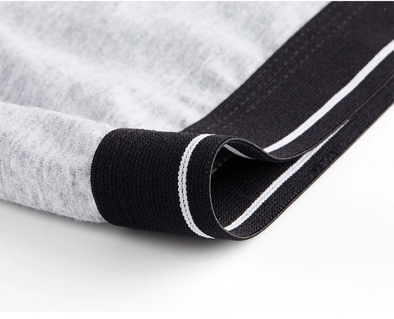 Calzoncillos de algodón para hombre, ropa interior Sexy, transpirable, de marca, 4 piezas
