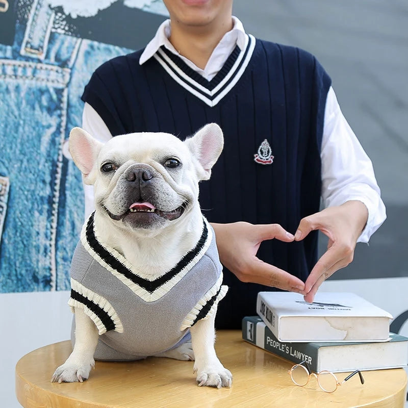 Suéter de moda para perros, ropa cálida de invierno para perros pequeños y medianos, suéter para gatos de estilo universitario, jersey para cachorros, ropa para perros Chihuahua