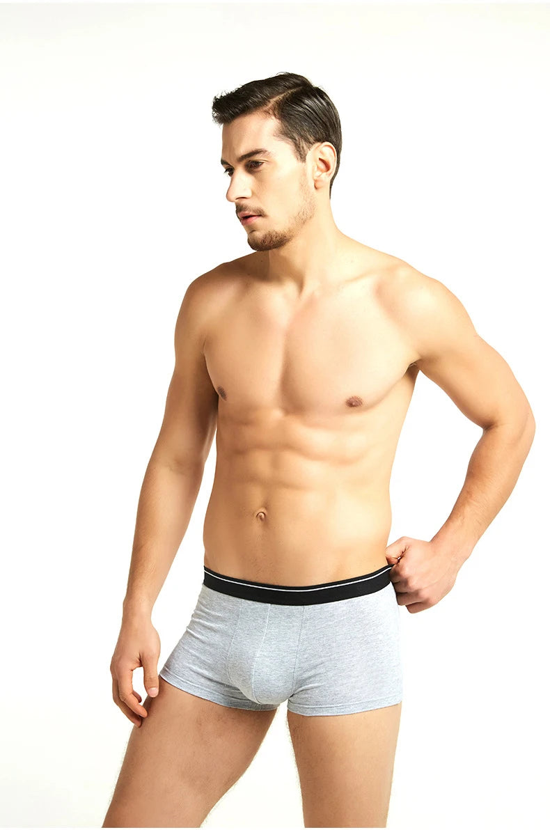 Calzoncillos de algodón para hombre, ropa interior Sexy, transpirable, de marca, 4 piezas