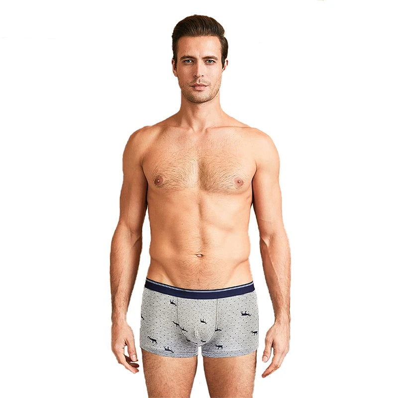 Calzoncillos de algodón para hombre, ropa interior Sexy, transpirable, de marca, 4 piezas