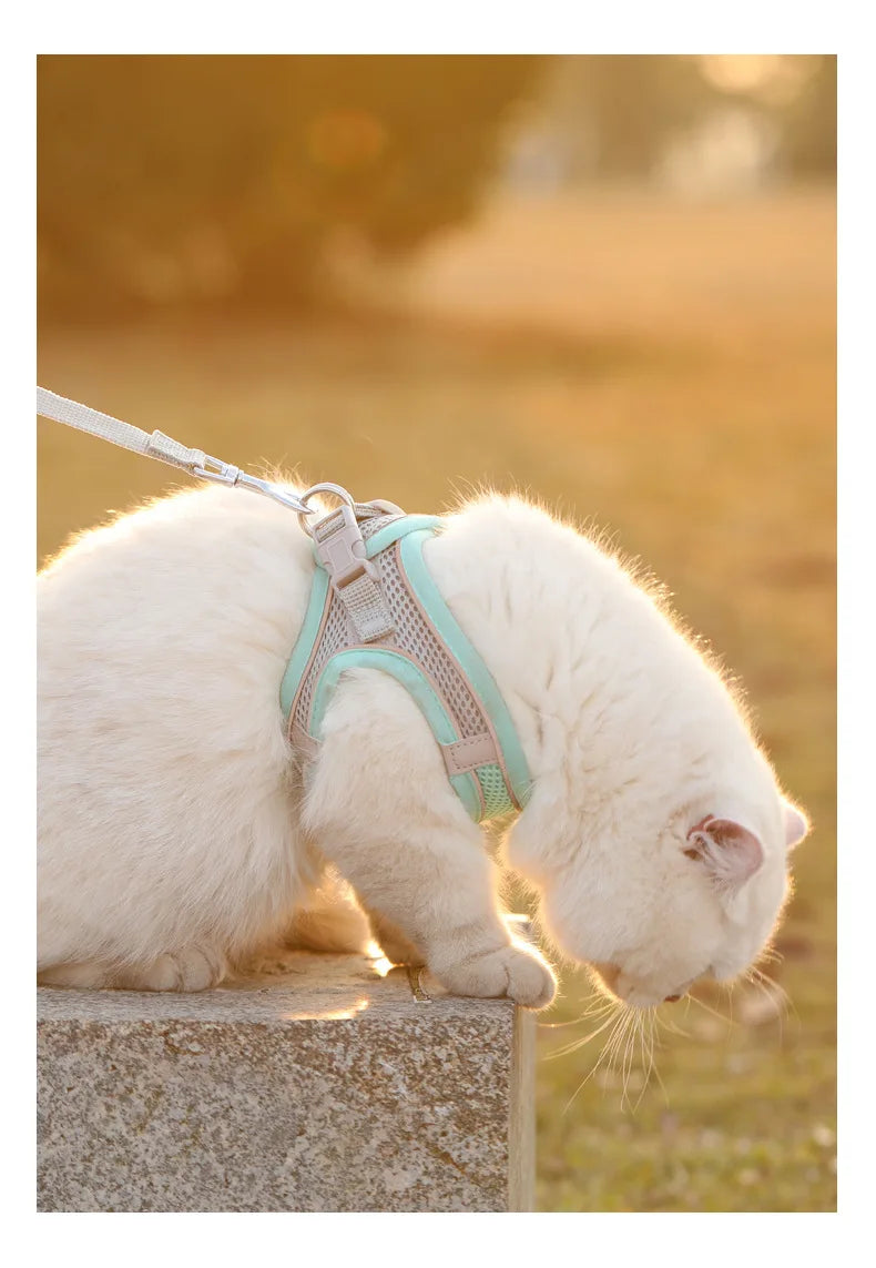 Arnés para Perros y Gatos, Conjunto de Arnés y Correa para el Pecho, Reflectante, Transpirable y Ajustable, para Perros Pequeños y Medianos, para Paseos al Aire Libre