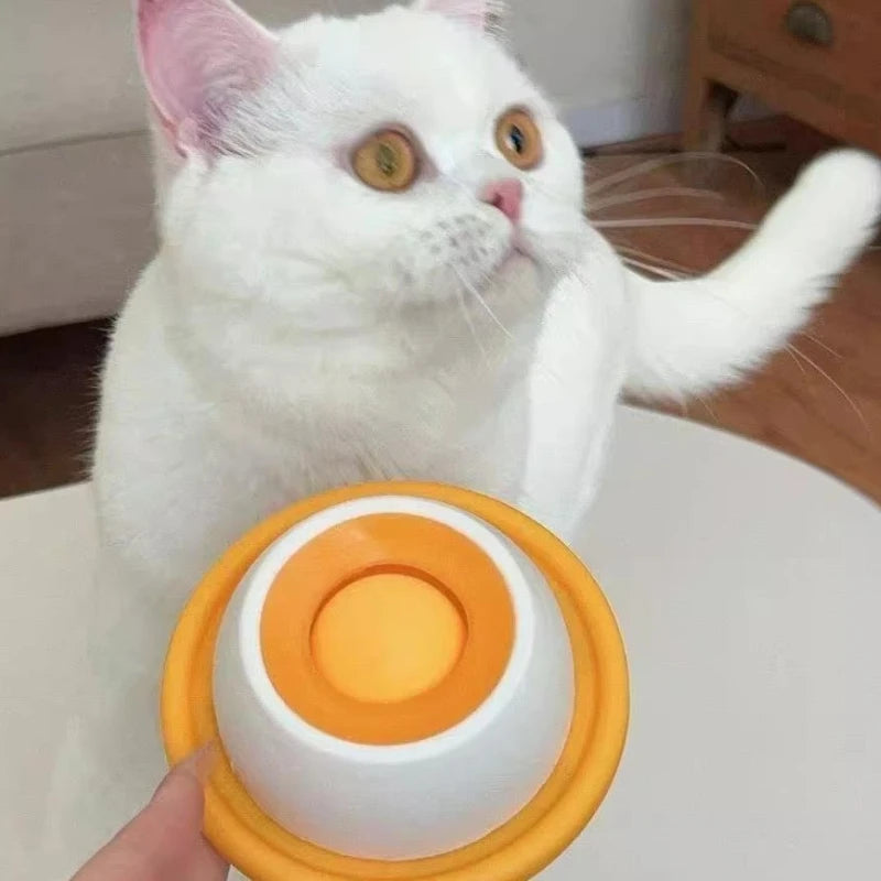 Comedero para Gatos con Compartimento Oculto para Agua y Comida, Bonito Tazón para Comer, Comedero Lento para Perros, Accesorios para Mascotas