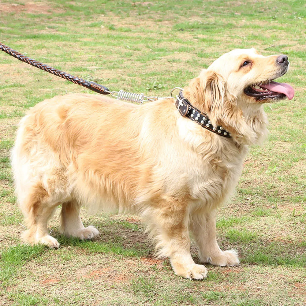Correa de cuero Real para perros grandes, correa de entrenamiento trenzada de cuero, resistente y duradera, sin amortiguador, para perros.
