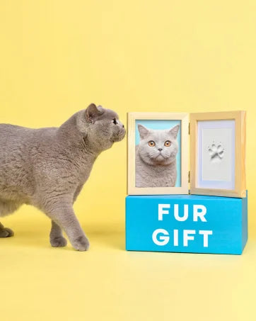Almohadilla de tinta táctil limpia con estampado de pata, recuerdo de propietario de Mascota de perro o gato, Kit de fabricación de impresión DIY de nariz sin tinta y Pawprint