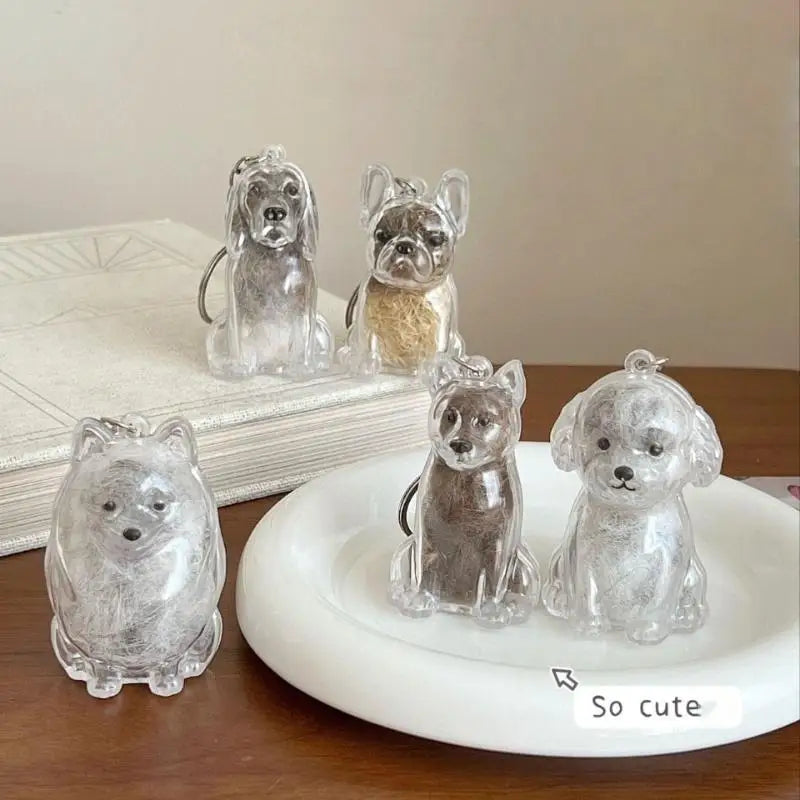 Cápsula de recuerdo de pelo de perro transparente, bolsa elegante, colgante, almacenamiento único, regalo, decoración conmemorativa