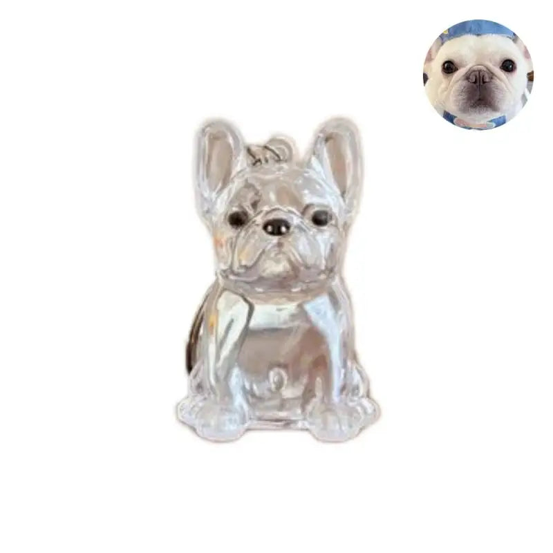 Cápsula de recuerdo de pelo de perro transparente, bolsa elegante, colgante, almacenamiento único, regalo, decoración conmemorativa