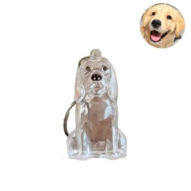 Cápsula de recuerdo de pelo de perro transparente, bolsa elegante, colgante, almacenamiento único, regalo, decoración conmemorativa