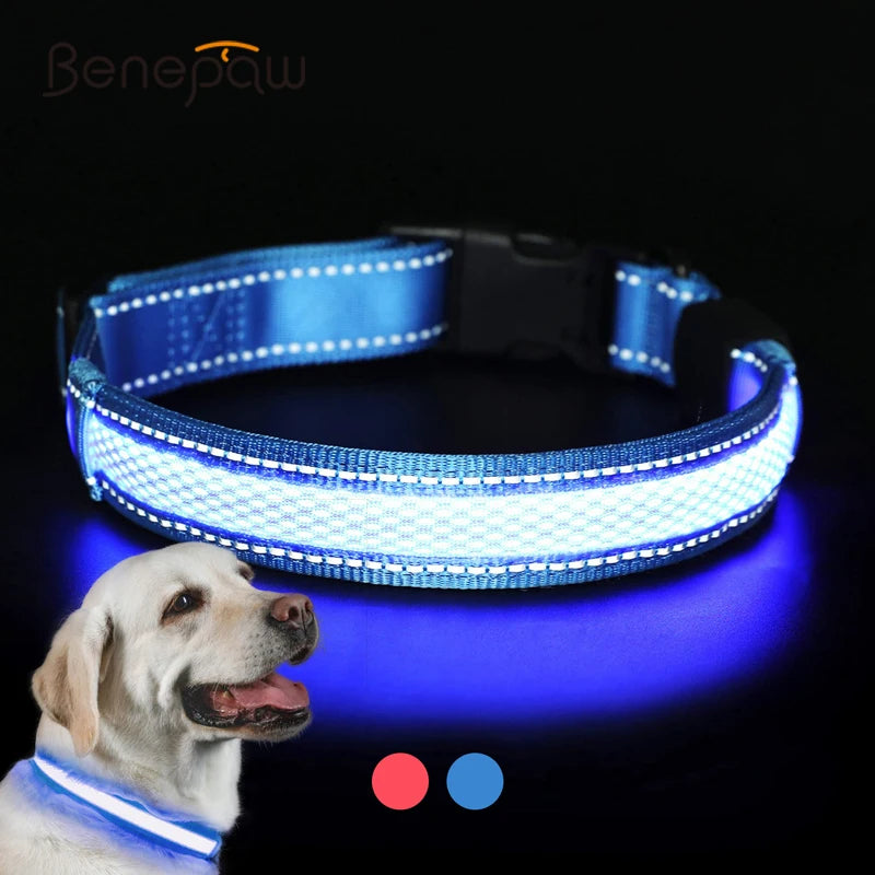 Benepaw-Collar de perro LED recargable por USB, cómodo, reflectante, brillante, brillante, para perros pequeños, medianos y grandes