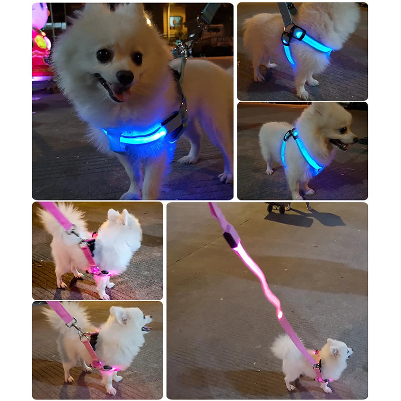 Arnés de seguridad de nailon para mascotas, accesorios para perros, arnés con luz intermitente, arnés LED para perros, correa, cinturón, collar LED para perros, chaleco, suministros para mascotas