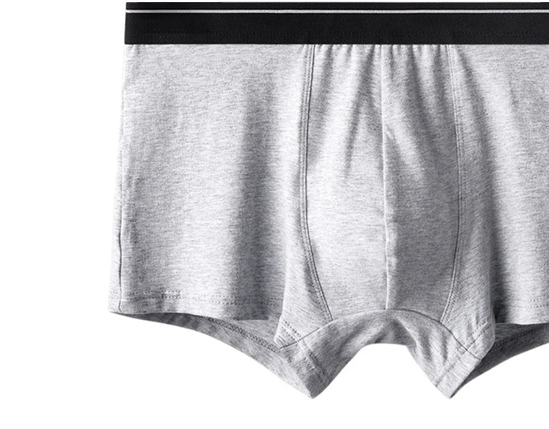 Calzoncillos de algodón para hombre, ropa interior Sexy, transpirable, de marca, 4 piezas