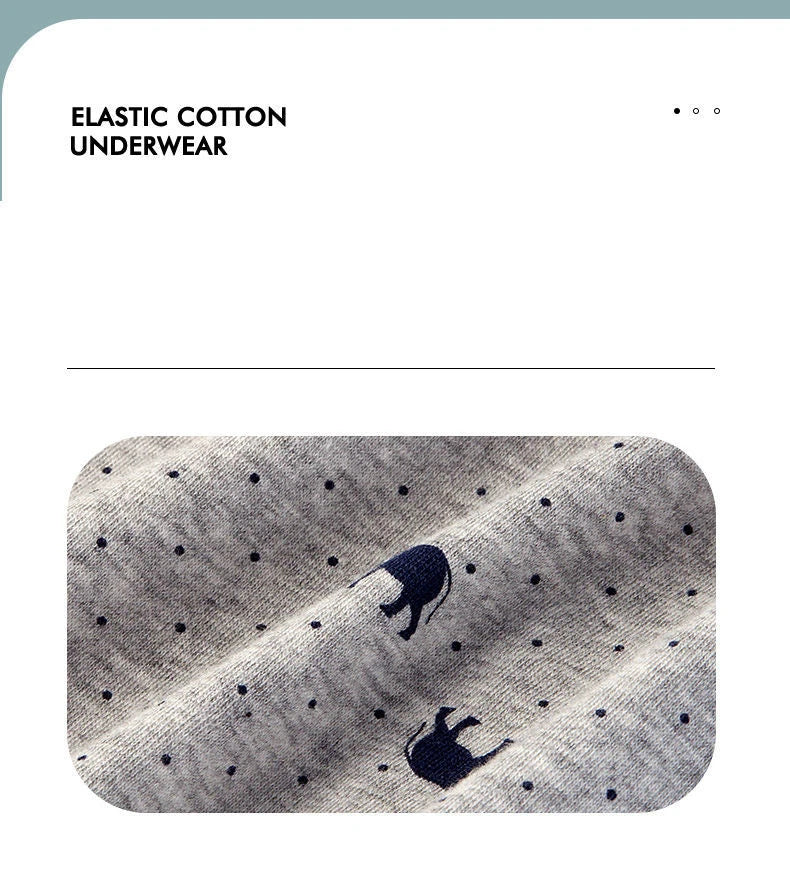 Calzoncillos de algodón para hombre, ropa interior Sexy, transpirable, de marca, 4 piezas