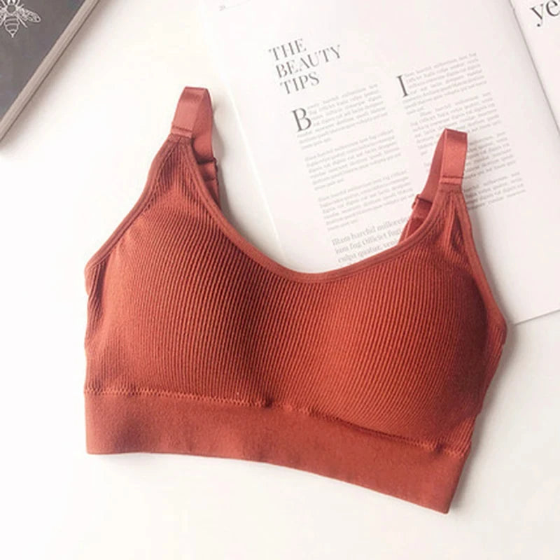 Ropa interior Sexy para mujer, lencería sin anillo de acero, sujetador, Top de tubo envuelto en el pecho, belleza en la espalda, Top de tubo de sección delgada de algodón activo