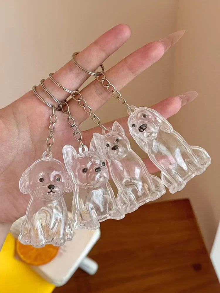 Cápsula de recuerdo de pelo de perro transparente, bolsa elegante, colgante, almacenamiento único, regalo, decoración conmemorativa