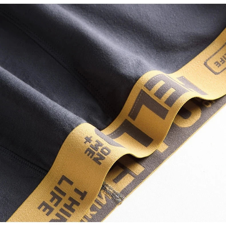 4 unids/lote de calzoncillos Para Hombre, ropa interior Para Hombre, pantalones cortos sexis, bragas Para Hombre, calzoncillos elásticos transpirables Para Hombres de gran tamaño