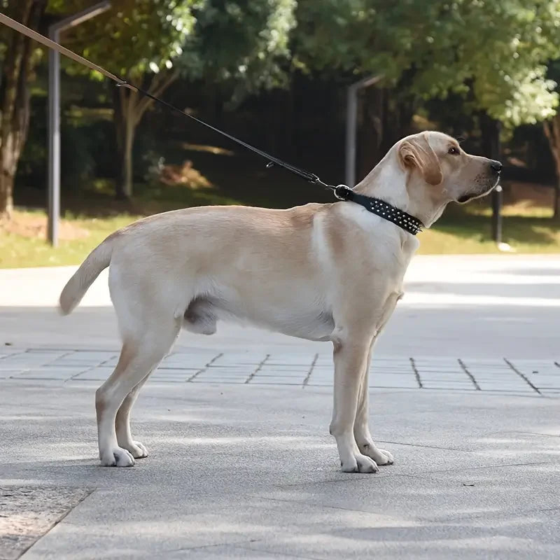 Juego de Collar y correa para perro con pinchos, Collar de perro de cuero con remaches, Collar ajustable para caminar al aire libre