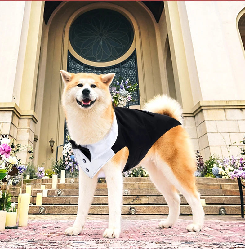 Esmoquin para perro y conjunto de Bandana, traje de fiesta de boda, camisa Formal de pajarita para perro y Príncipe