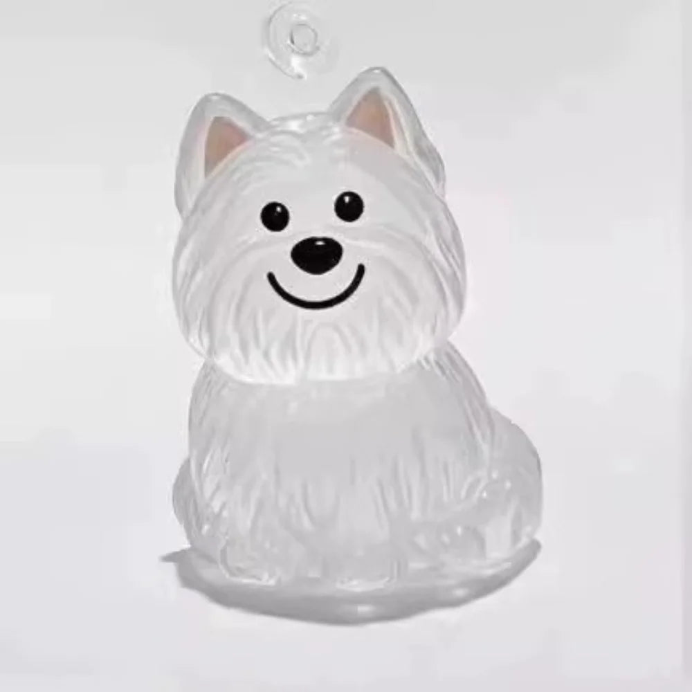 Nueva caja de almacenamiento de pelo de gato transparente, decoración de pelo de perro y gato, bolsa de cápsula, llavero, colgante, conmemoración de mascotas
