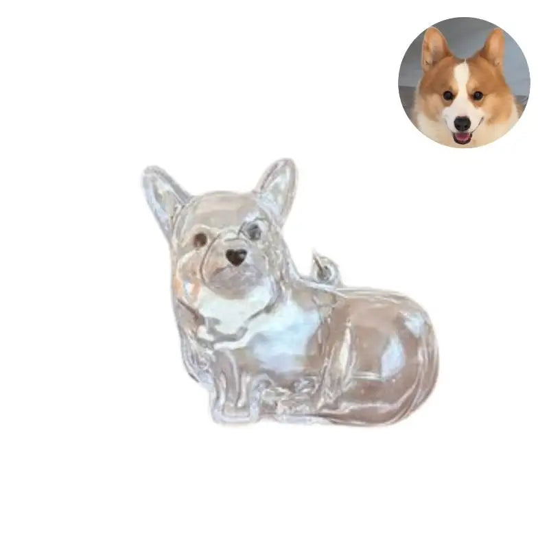 Cápsula de recuerdo de pelo de perro transparente, bolsa elegante, colgante, almacenamiento único, regalo, decoración conmemorativa