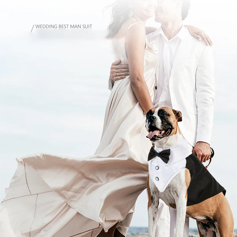 Esmoquin para perro y conjunto de Bandana, traje de fiesta de boda, camisa Formal de pajarita para perro y Príncipe