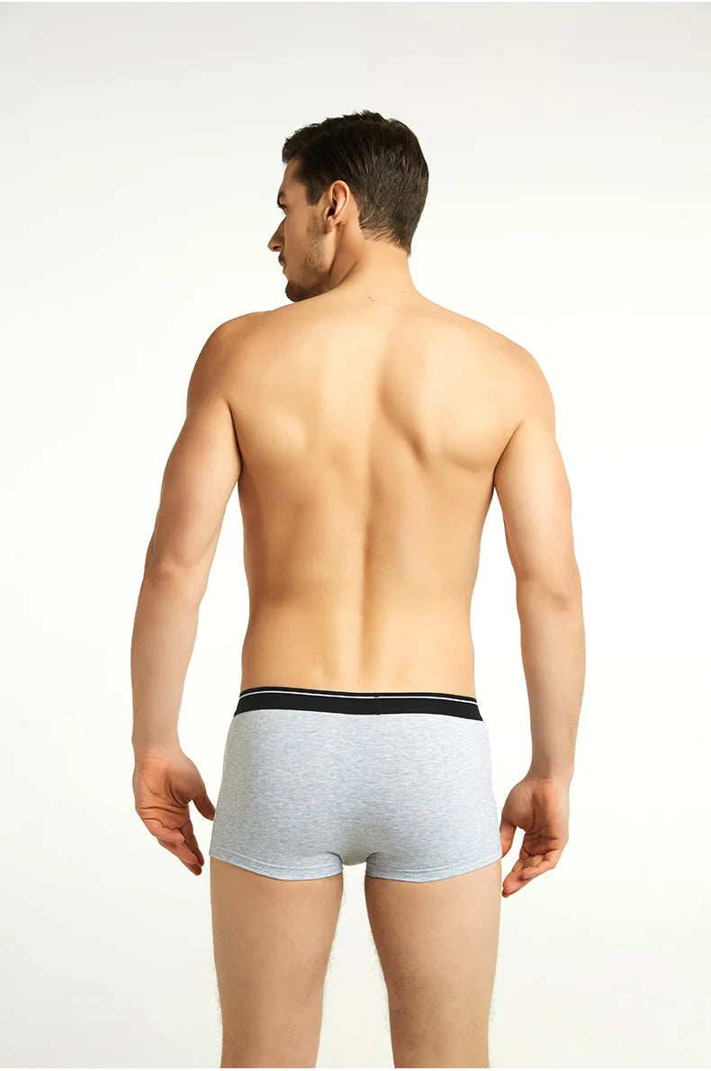 Calzoncillos de algodón para hombre, ropa interior Sexy, transpirable, de marca, 4 piezas