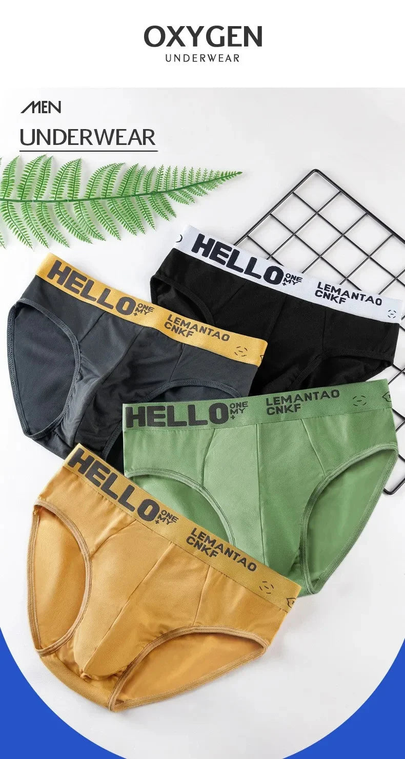 4 unids/lote de calzoncillos Para Hombre, ropa interior Para Hombre, pantalones cortos sexis, bragas Para Hombre, calzoncillos elásticos transpirables Para Hombres de gran tamaño