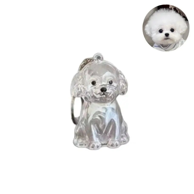 Cápsula de recuerdo de pelo de perro transparente, bolsa elegante, colgante, almacenamiento único, regalo, decoración conmemorativa
