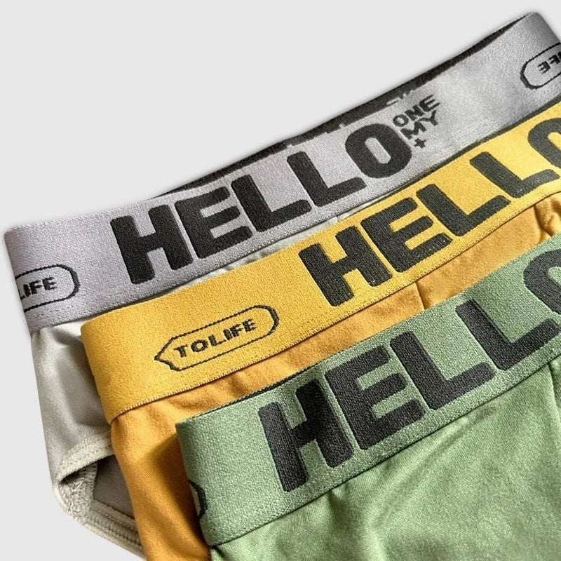 4 unids/lote de calzoncillos Para Hombre, ropa interior Para Hombre, pantalones cortos sexis, bragas Para Hombre, calzoncillos elásticos transpirables Para Hombres de gran tamaño