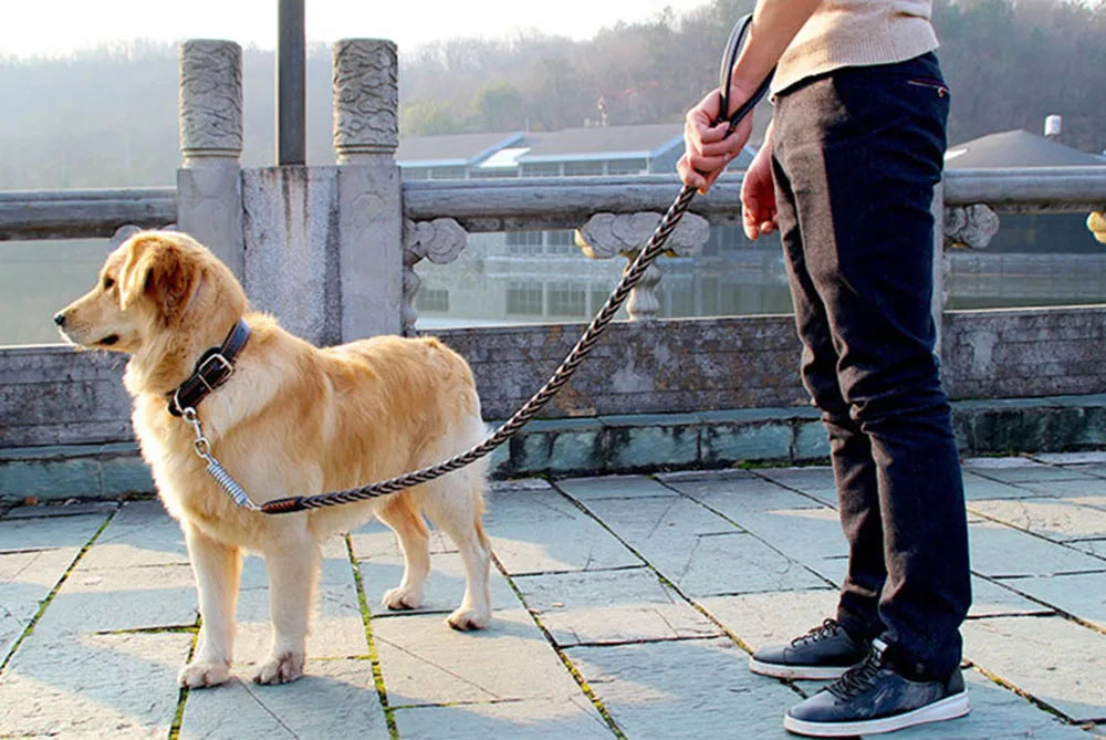 Correa de cuero Real para perros grandes, correa de entrenamiento trenzada de cuero, resistente y duradera, sin amortiguador, para perros.