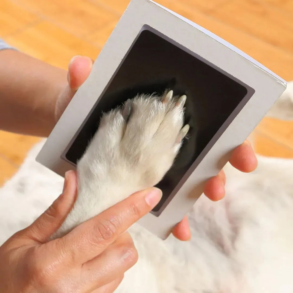 Almohadilla de tinta táctil limpia con estampado de pata, recuerdo de propietario de Mascota de perro o gato, Kit de fabricación de impresión DIY de nariz sin tinta y Pawprint