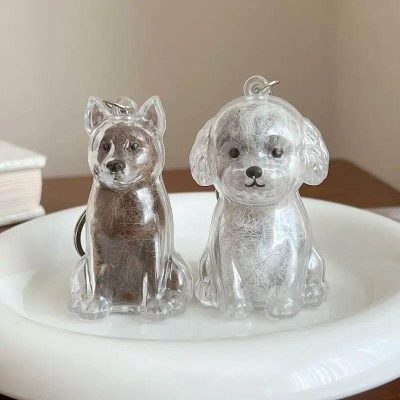 Cápsula de recuerdo de pelo de perro transparente, bolsa elegante, colgante, almacenamiento único, regalo, decoración conmemorativa