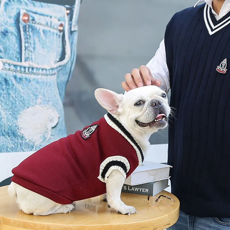 Suéter de moda para perros, ropa cálida de invierno para perros pequeños y medianos, suéter para gatos de estilo universitario, jersey para cachorros, ropa para perros Chihuahua