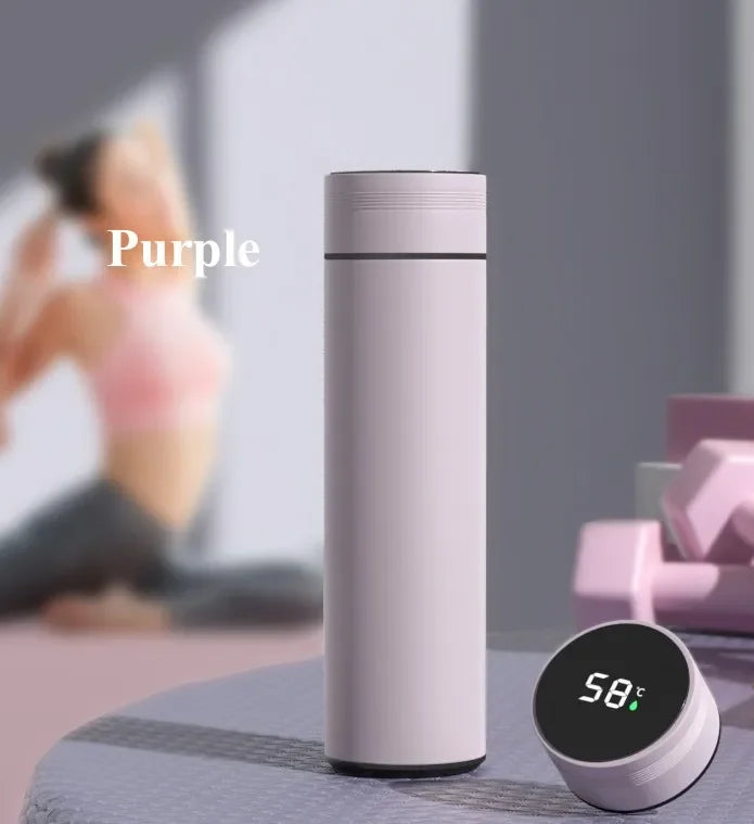 Taza Termo con pantalla de temperatura de 500ML, botella Termo dividida de acero inoxidable, taza aislada al vacío para exteriores, regalo del Día del Padre