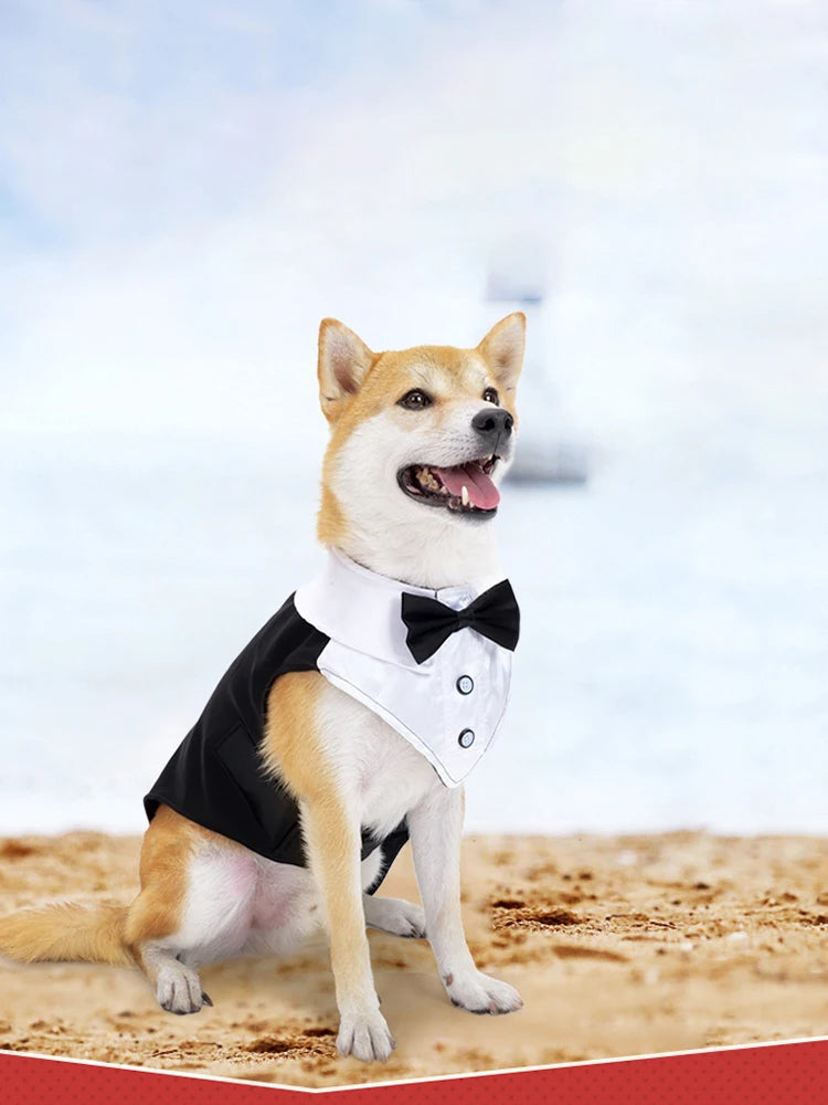Esmoquin para perro y conjunto de Bandana, traje de fiesta de boda, camisa Formal de pajarita para perro y Príncipe
