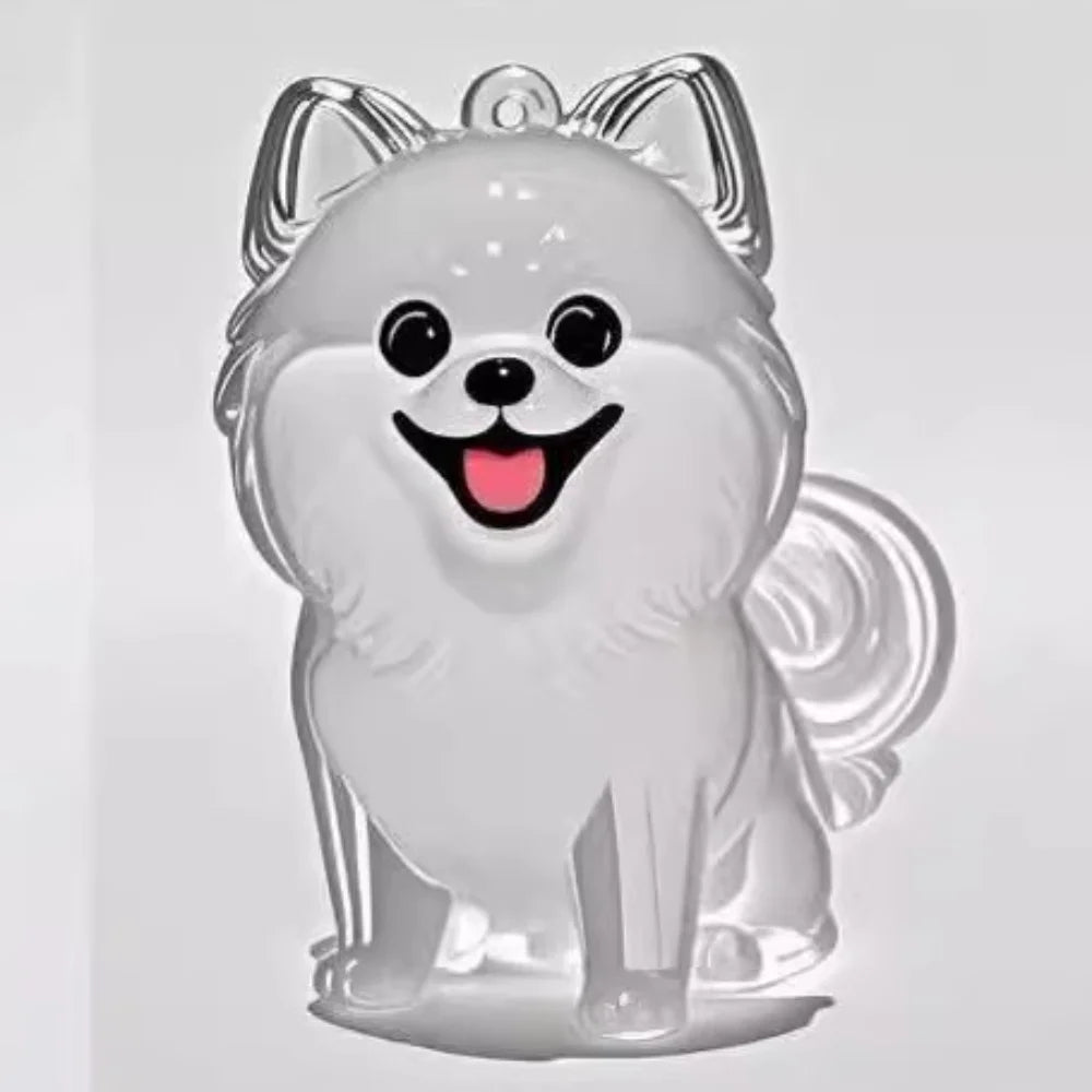 Nueva caja de almacenamiento de pelo de gato transparente, decoración de pelo de perro y gato, bolsa de cápsula, llavero, colgante, conmemoración de mascotas