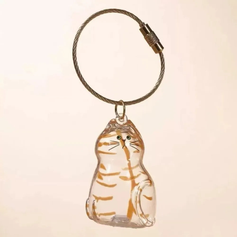 Nueva caja de almacenamiento de pelo de gato transparente, decoración de pelo de perro y gato, bolsa de cápsula, llavero, colgante, conmemoración de mascotas